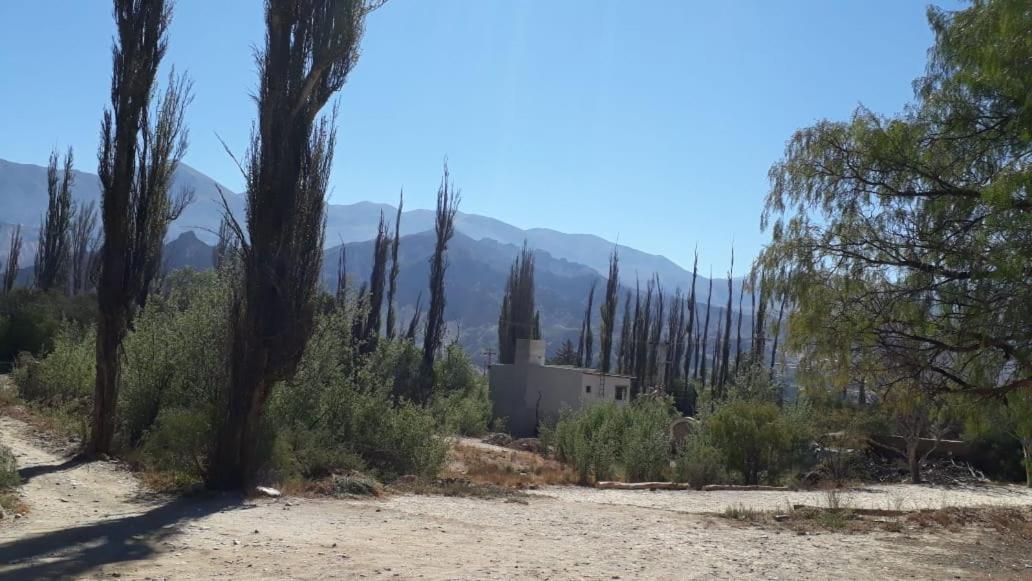 Cabanas La Esther تيلكارا الغرفة الصورة