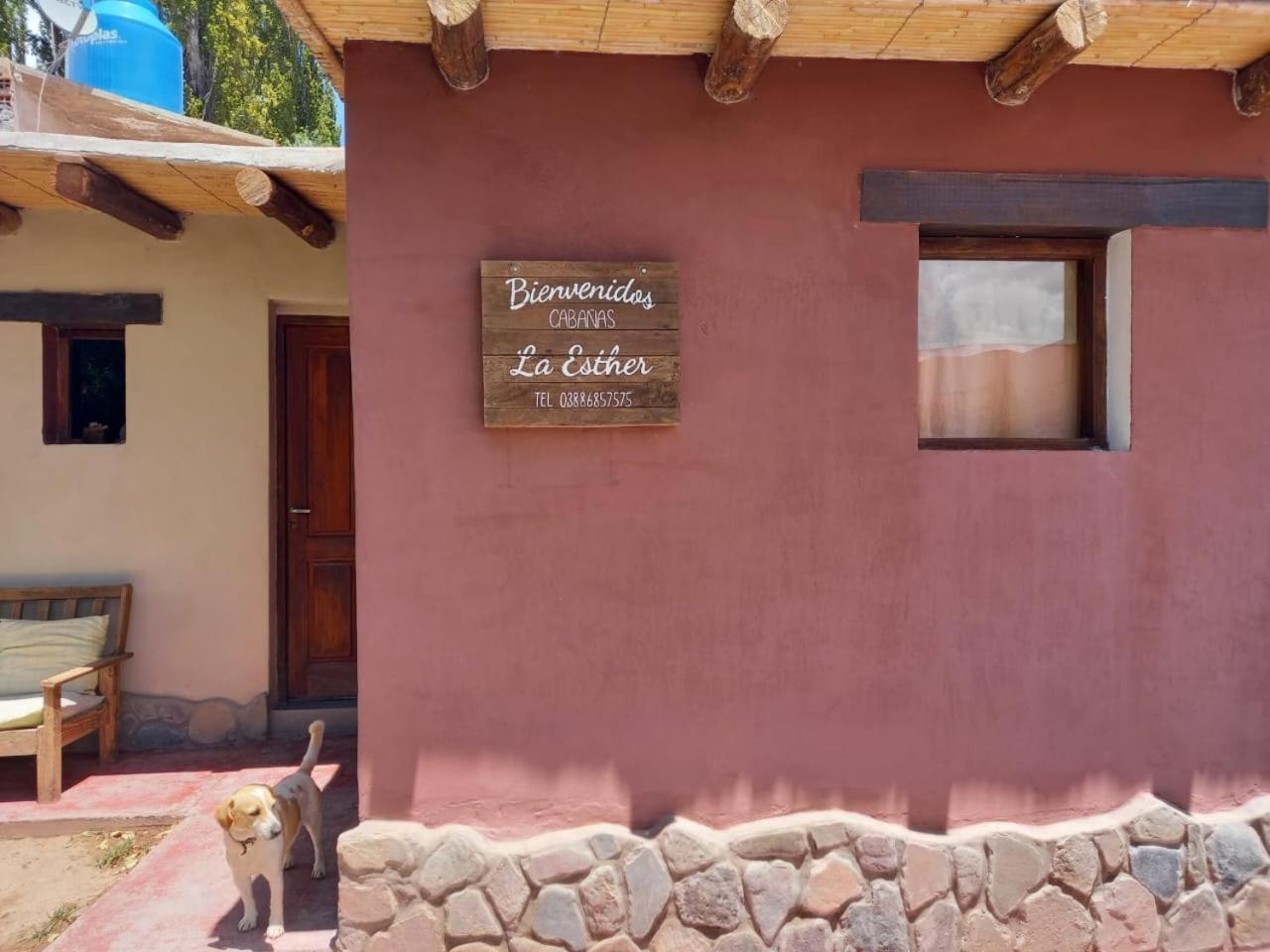 Cabanas La Esther تيلكارا المظهر الخارجي الصورة