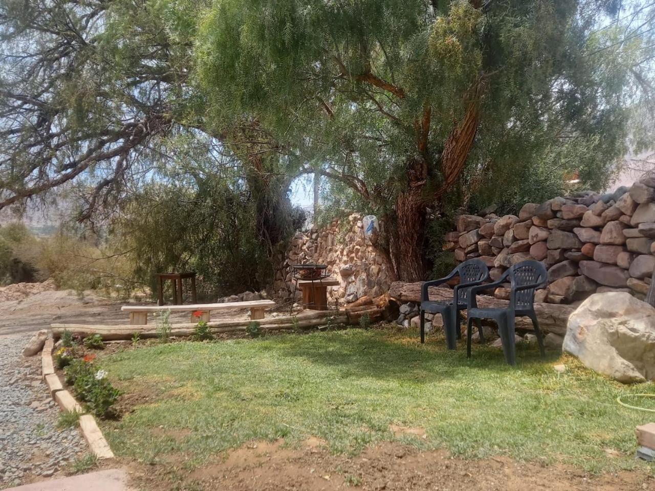 Cabanas La Esther تيلكارا المظهر الخارجي الصورة