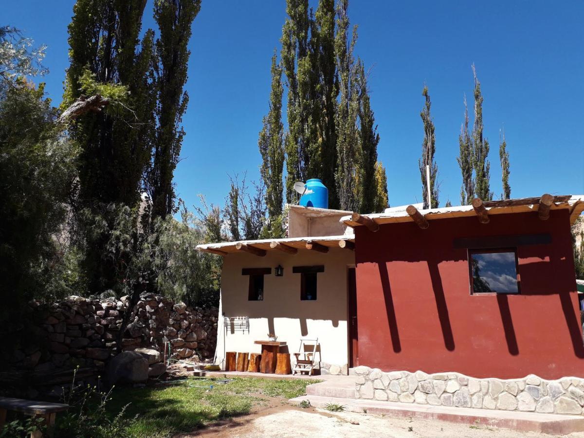 Cabanas La Esther تيلكارا المظهر الخارجي الصورة